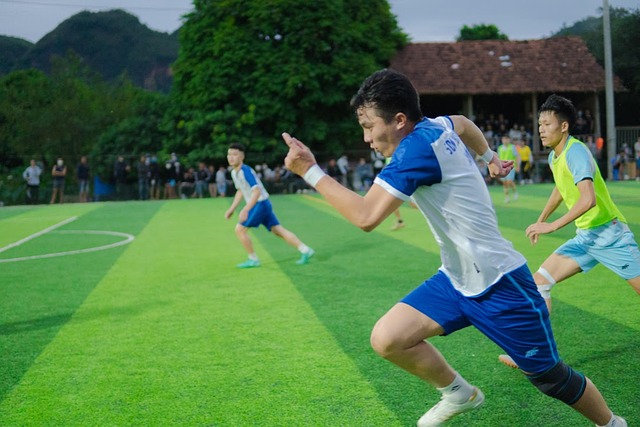 林联合的防